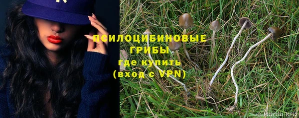 соль ск Майский