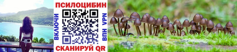 гидра ссылки  где продают   Северск  Псилоцибиновые грибы мухоморы 