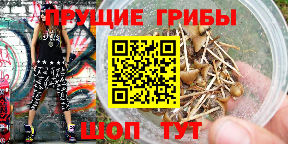 Галлюциногенные грибы мухоморы Северск