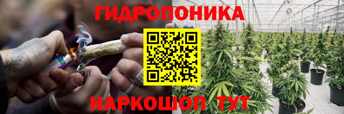 Шишки марихуана THC 21%  Вход с VPN  Марихуана Amnesia  Северск  Каннабис план  МАРИХУАНА Bruce Banner 